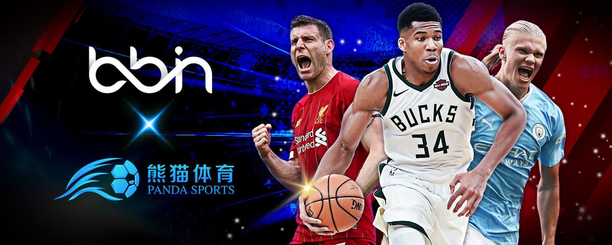 巴西球星内